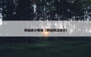 网站统计模板（网站概况统计）