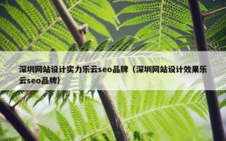 深圳网站设计实力乐云seo品牌（深圳网站设计效果乐云seo品牌）