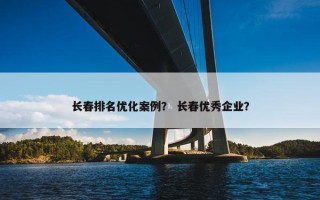 长春排名优化案例？ 长春优秀企业？