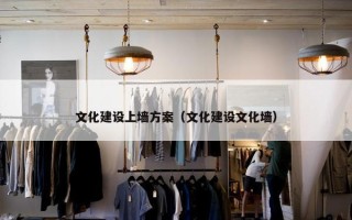 文化建设上墙方案（文化建设文化墙）