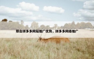 邢台拼多多网站推广优势，拼多多网络推广