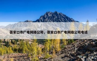 张家口市广电网络公司，张家口市广电网络公司电话