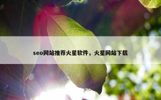 seo网站推荐火星软件，火星网站下载