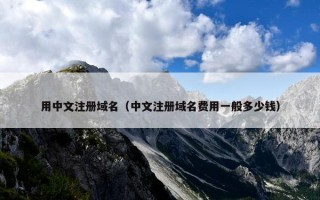 用中文注册域名（中文注册域名费用一般多少钱）
