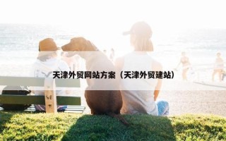 天津外贸网站方案（天津外贸建站）