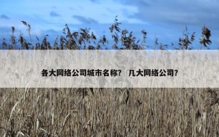 各大网络公司城市名称？ 几大网络公司？
