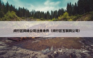 闵行区网络公司注册条件（闵行区互联网公司）