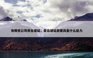 有哪些公司用自建站，做自建站需要具备什么能力