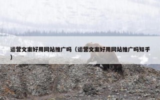 运营文案好用网站推广吗（运营文案好用网站推广吗知乎）