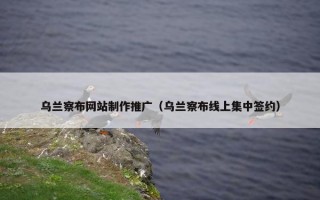 乌兰察布网站制作推广（乌兰察布线上集中签约）