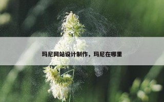 玛尼网站设计制作，玛尼在哪里