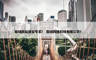 骏域网站建设专家？ 骏域网络科技有限公司？