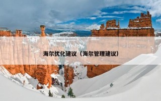 海尔优化建议（海尔管理建议）