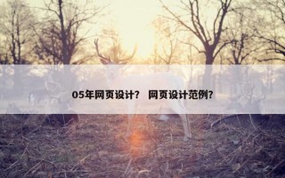 05年网页设计？ 网页设计范例？