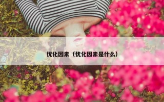 优化因素（优化因素是什么）