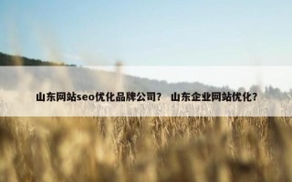 山东网站seo优化品牌公司？ 山东企业网站优化？