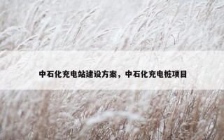 中石化充电站建设方案，中石化充电桩项目