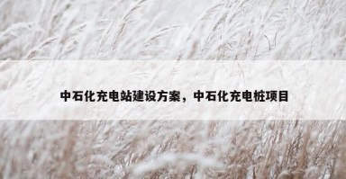 中石化充电站建设方案，中石化充电桩项目