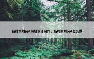 品牌策划ppt网站设计制作，品牌策划ppt怎么做