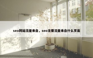 seo网站流量来自，seo主要流量来自什么页面