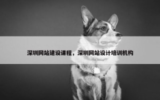 深圳网站建设课程，深圳网站设计培训机构