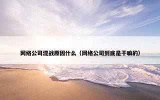 网络公司混战原因什么（网络公司到底是干嘛的）