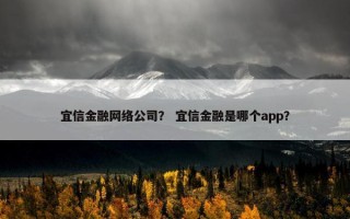 宜信金融网络公司？ 宜信金融是哪个app？