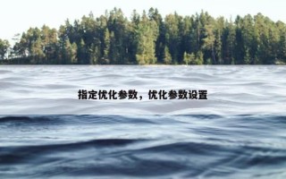 指定优化参数，优化参数设置