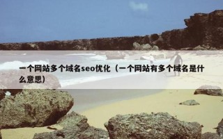 一个网站多个域名seo优化（一个网站有多个域名是什么意思）
