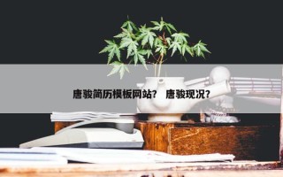 唐骏简历模板网站？ 唐骏现况？