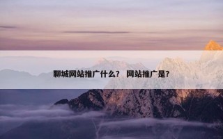 聊城网站推广什么？ 网站推广是？