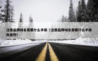 注册品牌域名需要什么手续（注册品牌域名需要什么手续和条件）