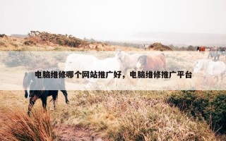 电脑维修哪个网站推广好，电脑维修推广平台