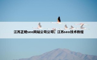 江苏正规seo网站公司公司，江苏seo技术教程