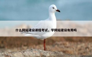 什么网站建设课程考试，学网站建设有用吗