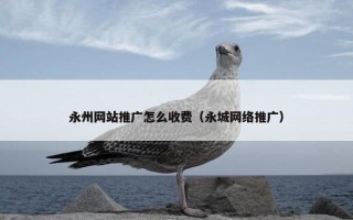永州网站推广怎么收费（永城网络推广）