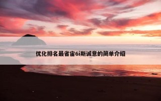 优化排名最省宙6i斯诚意的简单介绍
