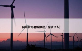 网络公司老板徐波（徐波法人）