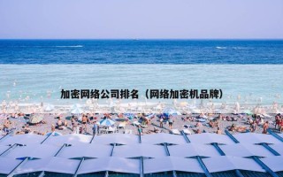 加密网络公司排名（网络加密机品牌）