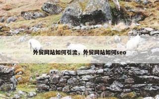 外贸网站如何引流，外贸网站如何seo
