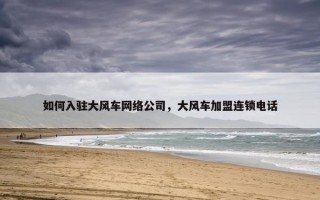 如何入驻大风车网络公司，大风车加盟连锁电话