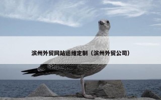 滨州外贸网站运维定制（滨州外贸公司）