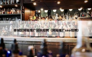 驿城区网站推广团队招聘（网站推广seo招聘）