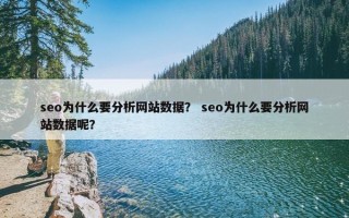 seo为什么要分析网站数据？ seo为什么要分析网站数据呢？