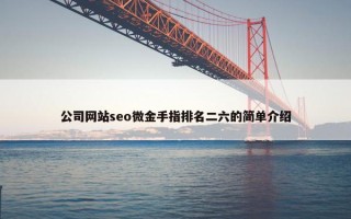 公司网站seo微金手指排名二六的简单介绍