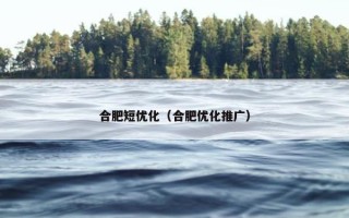 合肥短优化（合肥优化推广）
