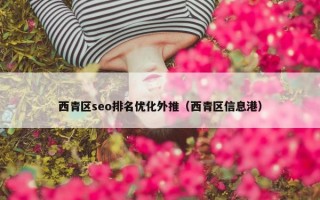 西青区seo排名优化外推（西青区信息港）