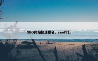 SEO网站快速排名，seo排行
