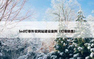 led灯带外贸网站建设案例（灯带销售）