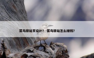 菜鸟驿站页设计？ 菜鸟驿站怎么赚钱？
